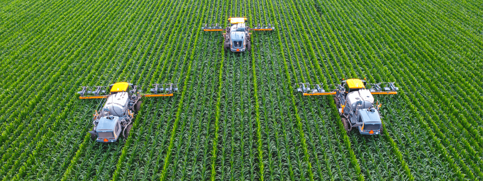 牢記使命、服務(wù)全局